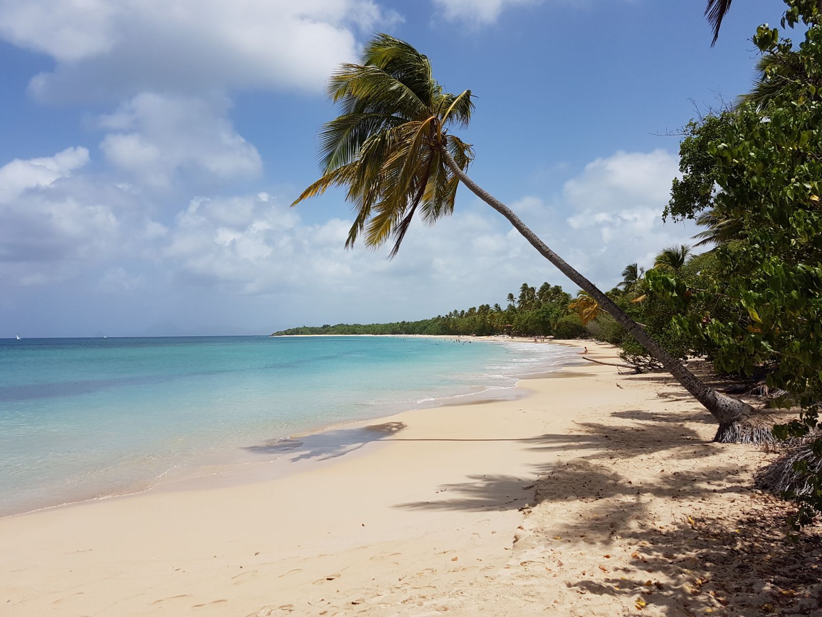 Plage des Salines Martinique