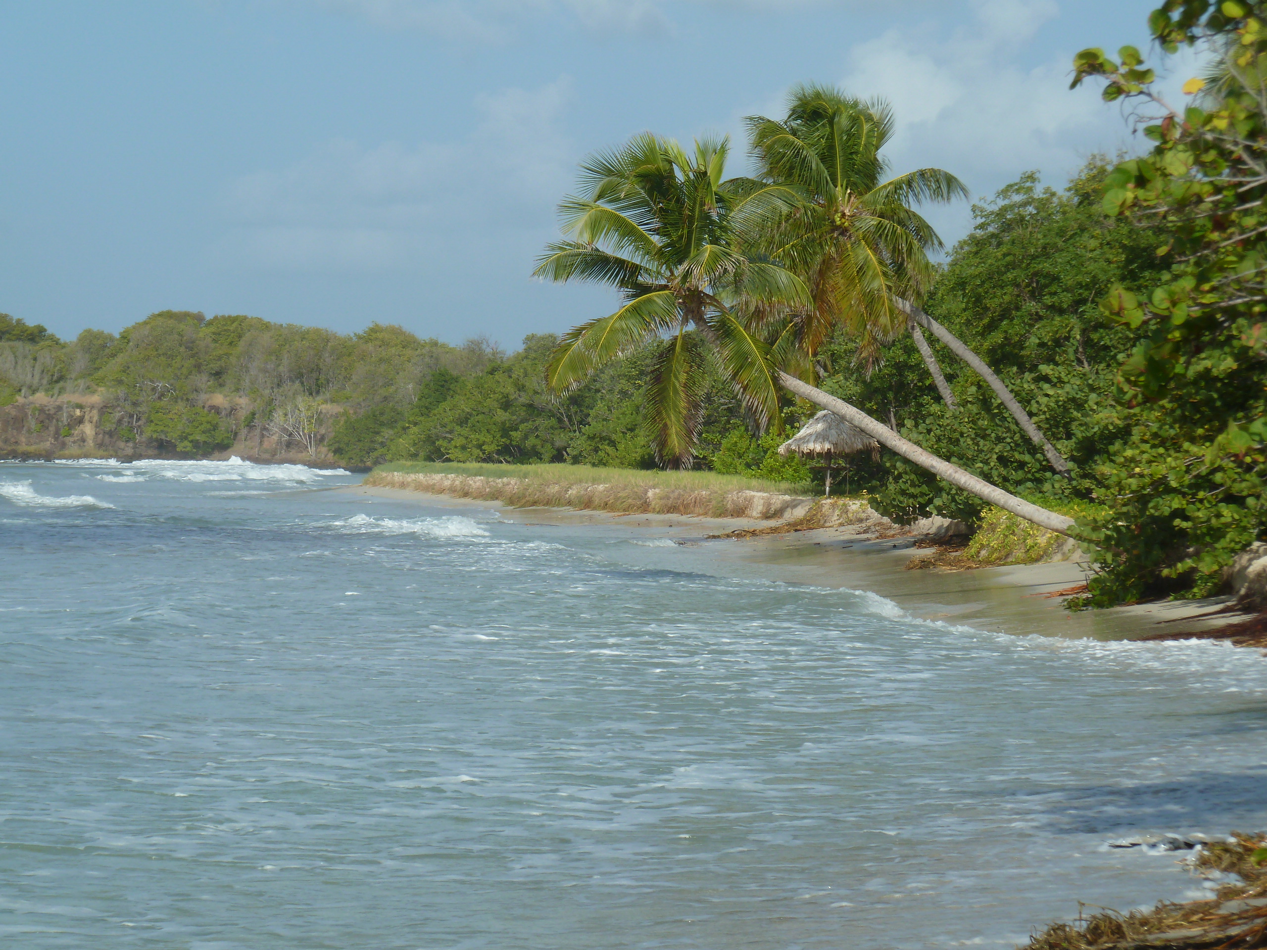 Anse à prunes Martinique