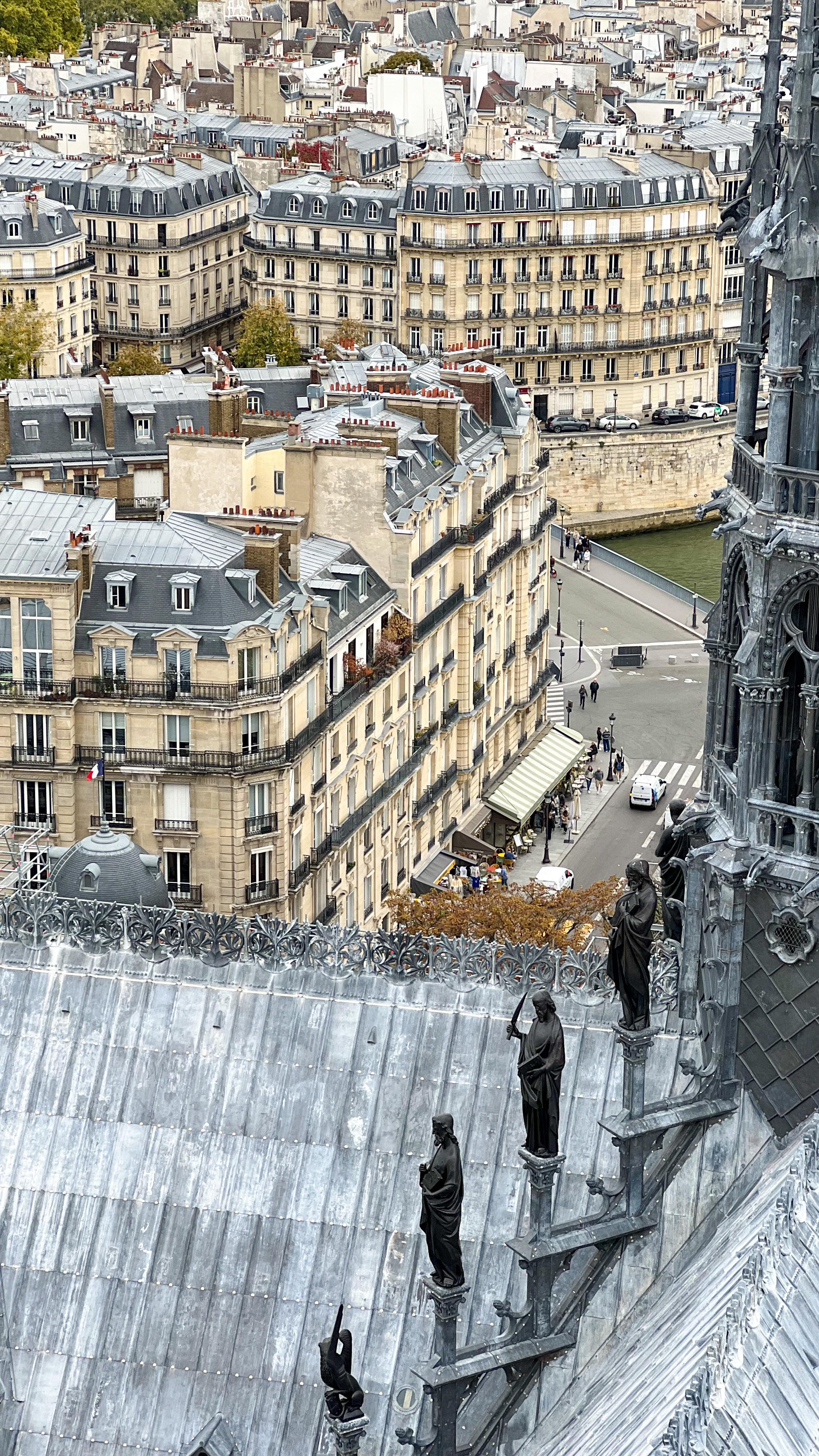 Visite des tours de Notre-Dame de Paris il y a quelques jours ✨ par temps gris malheureusement ☁️
L'entrée coûte 16€ et se fait tout à droite de la cathédrale quand vous lui faites face.
Les tours comportent 424 marches en montée et atteint 69 mètres de hauteur. Certains passages sont étroits et un peu bas de hauteur, notamment les dernières marches.
C'est assez physique ! Avec ma santé un peu fluctuante et un cardio en baisse depuis quelques années (merci la thyroïde), je n'étais pas au top au sommet 😅 D'autant plus qu'ils annoncent qu'on a seulement 5min au sommet pour regarder la vue et faire des photos/vidéos, ce qui est bien trop court !!! Apparemment, le temps au sommet sera allongé au fur et à mesure de l'avancée des travaux.
Prévoyez votre bouteille d'eau au cas où !
Sinon, contrairement à tout ce que j'avais pu lire/entendre, je n'ai pas eu à subir de l'attente, hormis à chaque pallier (il y en a 3 avant le sommet). C'est à faire ! 

#notredamedeparis #parisjetaime #paris #visiterparis #cathedralenotredame #vivreparis #parismaville #toursdenotredame #super_france #lecmn @lecmn