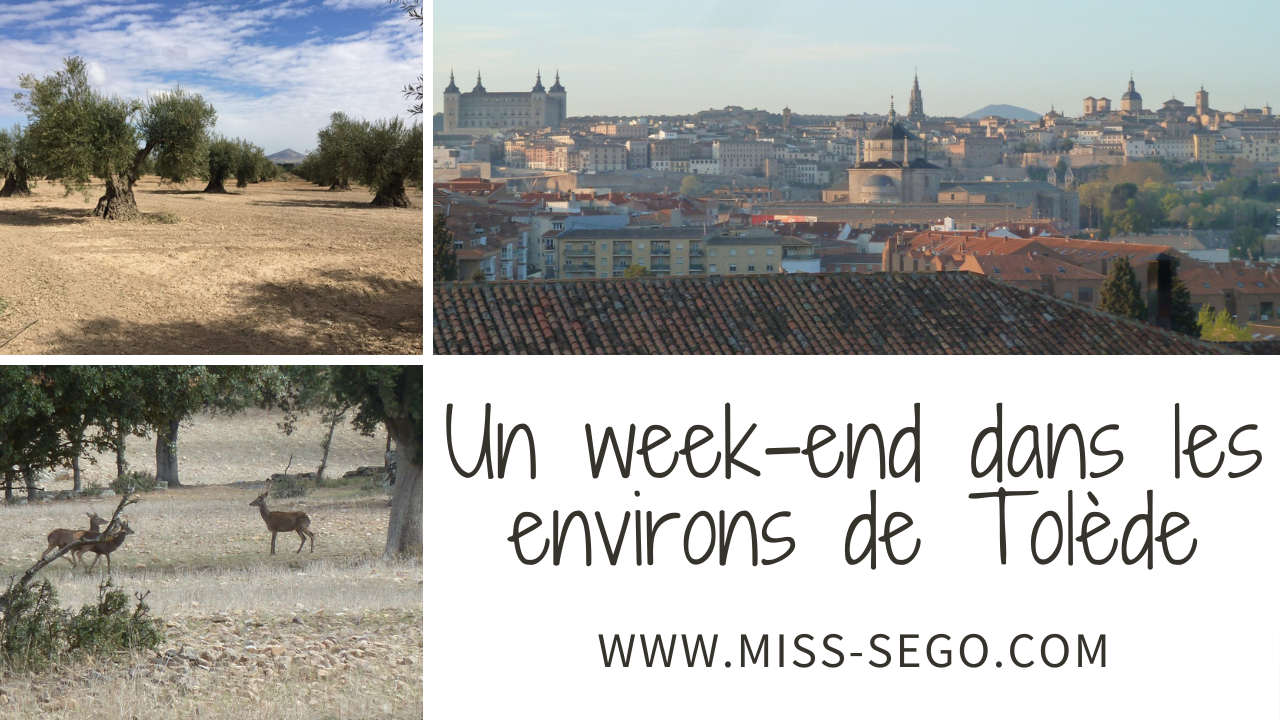 Un week-end à Tolède que faire, que voir où manger où dormir