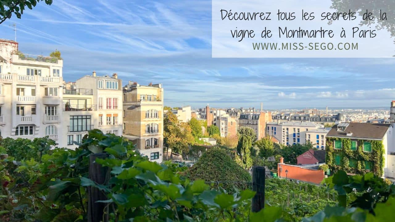 Découvrez tous les secrets de la vigne de Montmartre à Paris