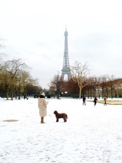 Champ de Mars Tour Eiffel