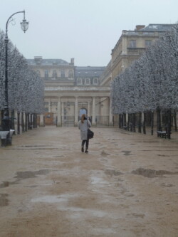 Jardin du Palais Royal