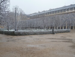 Jardin du Palais Royal