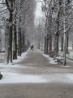 Jardin des Tuileries