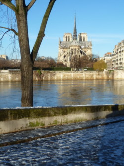 Notre Dame de Paris