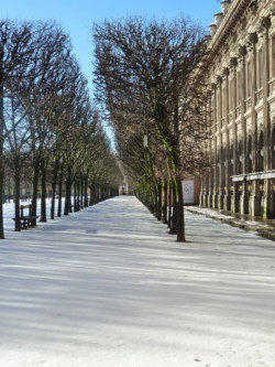 Jardin du Palais Royal