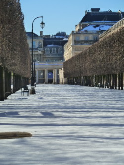 Jardin du Palais Royal