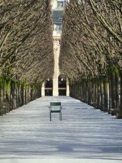 Jardin du Palais Royal