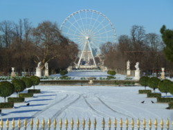 Jardin des Tuileries