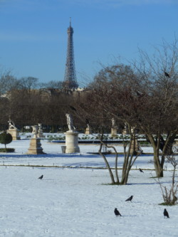 Jardin des Tuileries