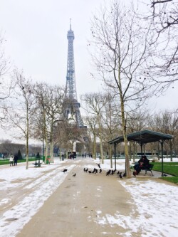 Champ de Mars, Tour Eiffel